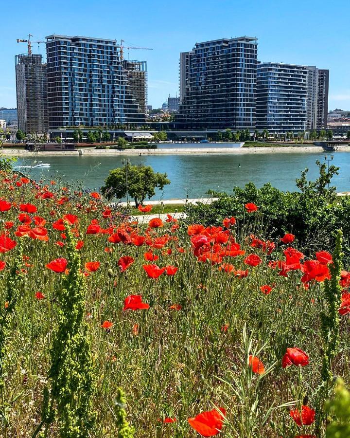 Dom Boutique Apartments - Park View Belgrado Buitenkant foto